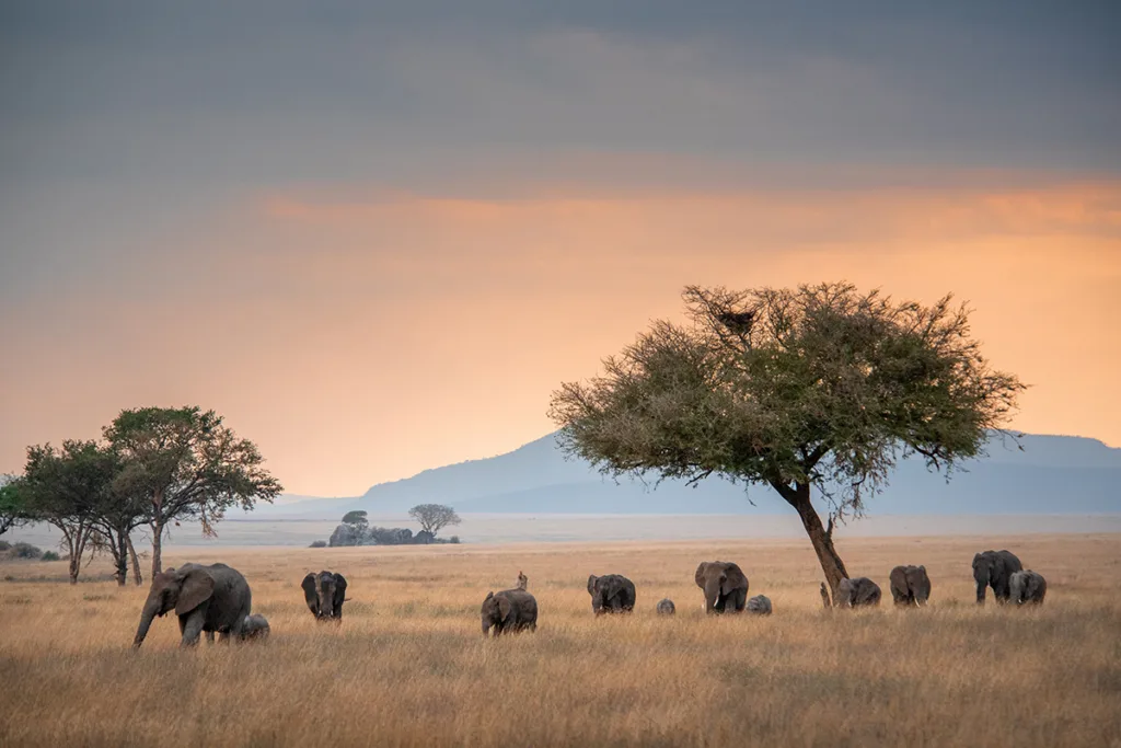 Serengeti National Park